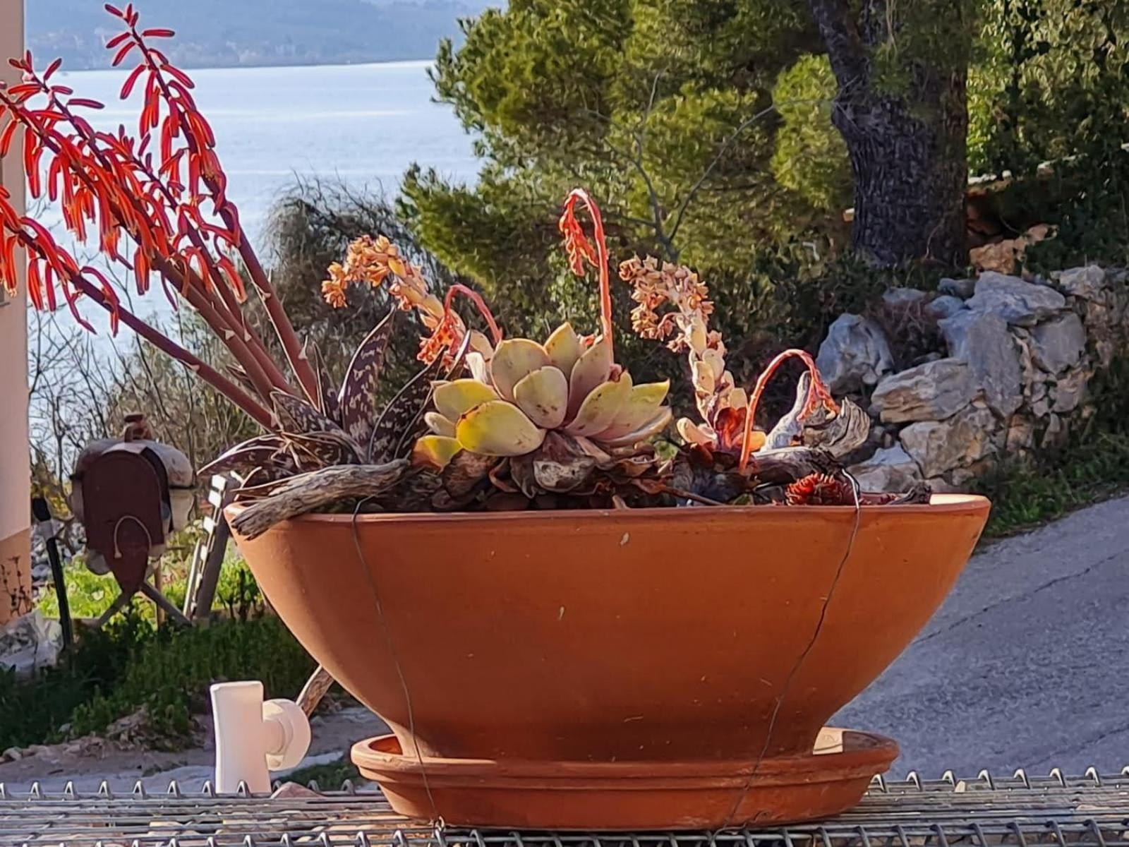 Kuca Mali Raj - Little Paradise Σίμπενικ Εξωτερικό φωτογραφία